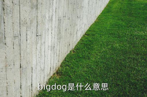 bigdog是什么意思