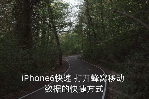 蘋果6手機怎么打開數(shù)據(jù),蘋果手機怎么打開數(shù)據(jù)網(wǎng)絡開關(guān)