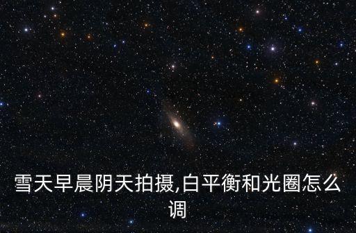 雪天早晨陰天拍攝,白平衡和光圈怎么調(diào)