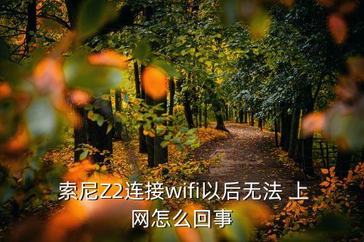  索尼Z2連接wifi以后無法 上網(wǎng)怎么回事