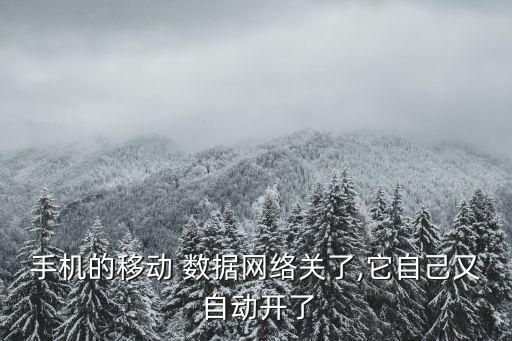 數據關閉后自動開啟
