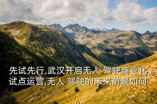 先試先行,武漢開啟無人 駕駛商業(yè)化試點(diǎn)運(yùn)營(yíng),無人 駕駛的未來前景如何...