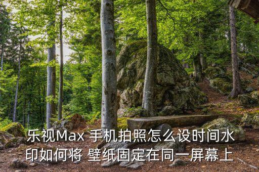  樂視Max 手機拍照怎么設(shè)時間水印如何將 壁紙固定在同一屏幕上