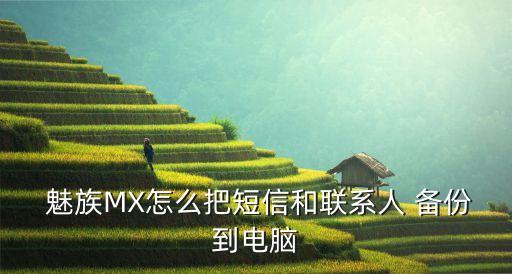 魅族系統(tǒng)怎么備份數(shù)據(jù),魅族獲取桌面?zhèn)浞輸?shù)據(jù)出錯