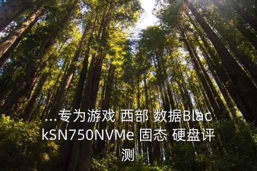 ...專為游戲 西部 數(shù)據(jù)BlackSN750NVMe 固態(tài) 硬盤評(píng)測(cè)