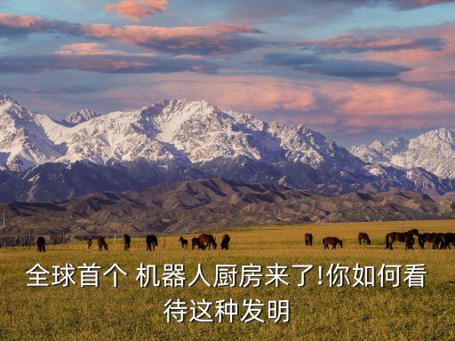 全球首個(gè) 機(jī)器人廚房來了!你如何看待這種發(fā)明