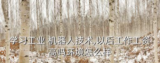 學(xué)習(xí)工業(yè) 機(jī)器人技術(shù),以后工作工資高嗎環(huán)境怎么樣