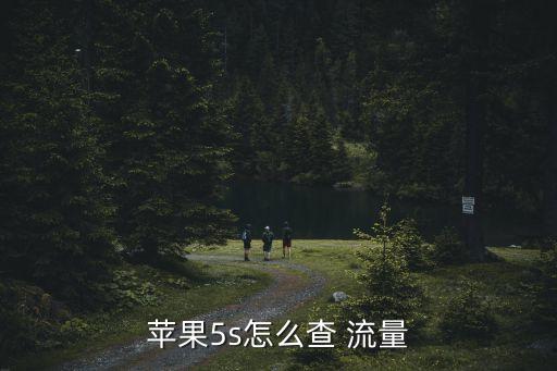 iphone5s如何關(guān)閉數(shù)據(jù)流量