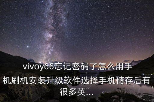 vivoy66數(shù)據(jù)線上的字母
