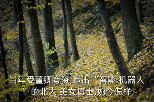 當年受董卿夸贊,造出“智能 機器人”的北大 美女博士,如今怎樣