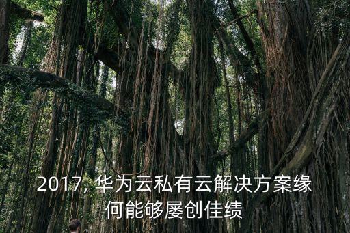 2017, 華為云私有云解決方案緣何能夠?qū)覄?chuàng)佳績(jī)