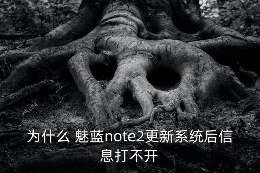 為什么 魅藍(lán)note2更新系統(tǒng)后信息打不開