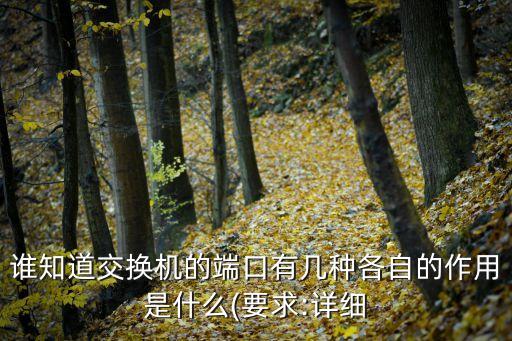 光纖分布數(shù)據(jù)接口fddi,光纖跳線接口類(lèi)型圖片