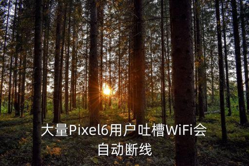 大量Pixel6用戶吐槽WiFi會自動斷線