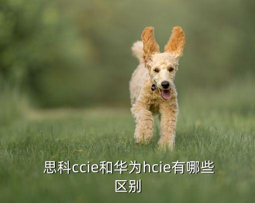  思科ccie和華為hcie有哪些區(qū)別