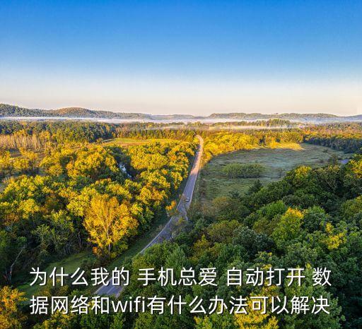 海信手機(jī)數(shù)據(jù)自動(dòng)聯(lián)網(wǎng)什么原因