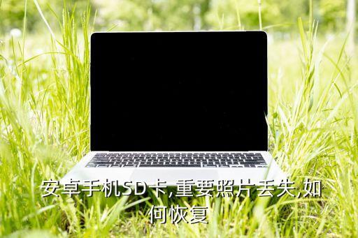  安卓手機SD卡,重要照片丟失,如何恢復(fù)
