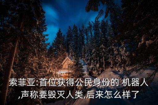 機(jī)器人明