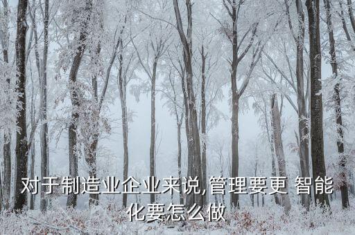 對(duì)于制造業(yè)企業(yè)來(lái)說(shuō),管理要更 智能化要怎么做