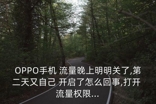 oppo自動開啟流量數(shù)據(jù),Oppo手機(jī)數(shù)據(jù)流量打開了為什么沒有網(wǎng)絡(luò)