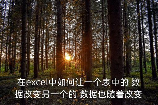 在excel中如何讓一個表中的 數(shù)據(jù)改變另一個的 數(shù)據(jù)也隨著改變