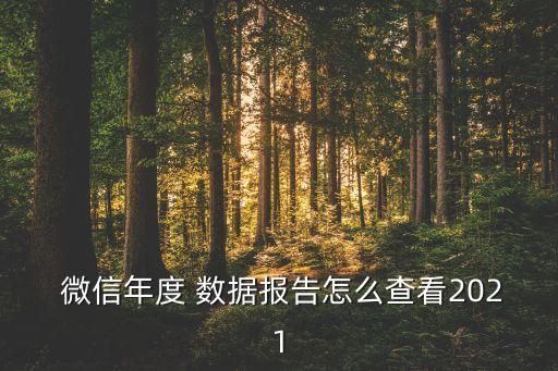  微信年度 數(shù)據(jù)報(bào)告怎么查看2021
