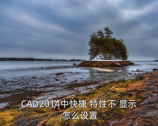 中望cad不顯示特性數(shù)據(jù)