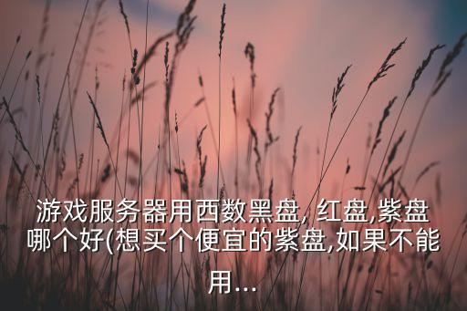 西部數(shù)據(jù)紅盤(pán)怎么樣