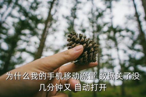 為什么我的手機(jī)移動(dòng)流量 數(shù)據(jù)關(guān)了沒幾分鐘又 自動(dòng)打開