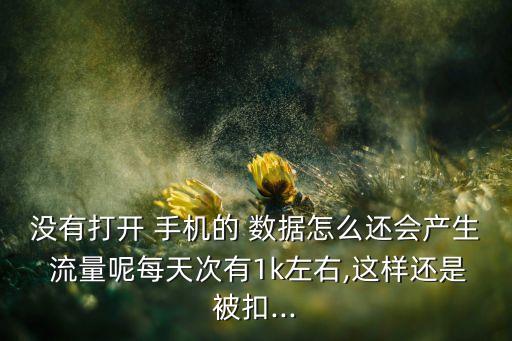 沒有打開 手機的 數(shù)據(jù)怎么還會產(chǎn)生 流量呢每天次有1k左右,這樣還是被扣...