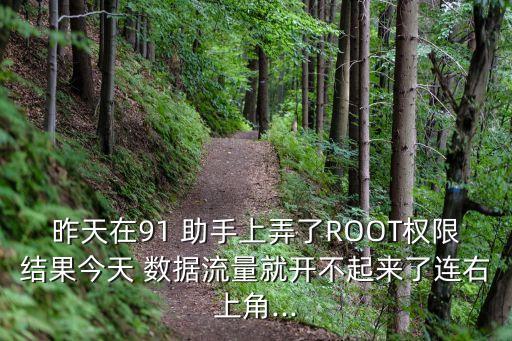 昨天在91 助手上弄了ROOT權(quán)限結(jié)果今天 數(shù)據(jù)流量就開不起來了連右上角...