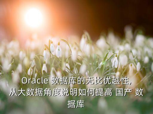 Oracle 數(shù)據(jù)庫(kù)的無(wú)比優(yōu)越性,從大數(shù)據(jù)角度說(shuō)明如何提高 國(guó)產(chǎn) 數(shù)據(jù)庫(kù)