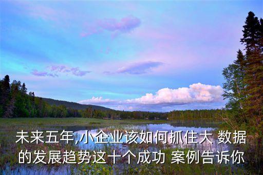 未來(lái)五年,小企業(yè)該如何抓住大 數(shù)據(jù)的發(fā)展趨勢(shì)這十個(gè)成功 案例告訴你