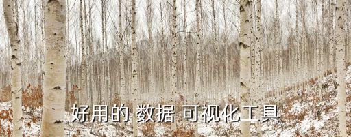 好用的 數(shù)據(jù) 可視化工具