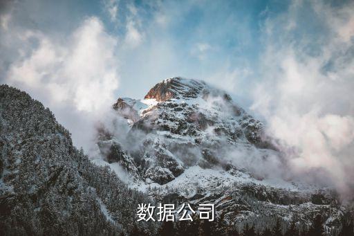 華云數(shù)據(jù)公司
