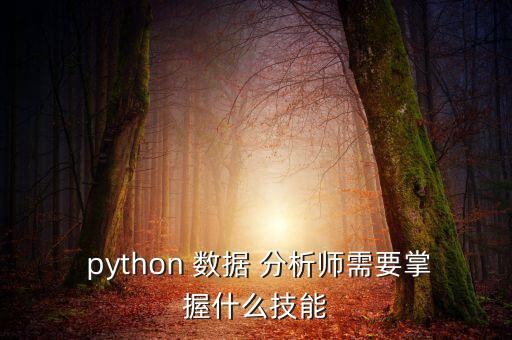  python 數(shù)據(jù) 分析師需要掌握什么技能