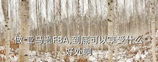 做 亞馬遜FBA,到底可以享受什么好處啊