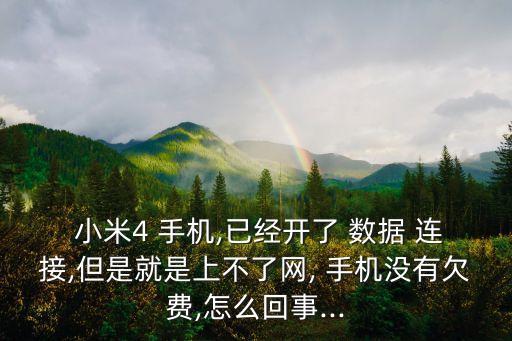 小米4 手機(jī),已經(jīng)開(kāi)了 數(shù)據(jù) 連接,但是就是上不了網(wǎng), 手機(jī)沒(méi)有欠費(fèi),怎么回事...