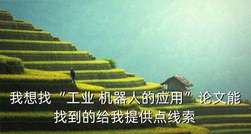 探雷機(jī)器人