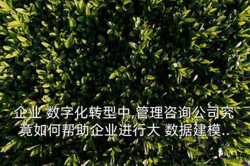 大數(shù)據(jù) 數(shù)字化