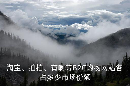 淘寶、拍拍、有啊等B2C購物網(wǎng)站各占多少市場份額