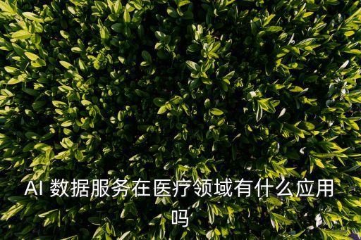 AI 數(shù)據(jù)服務(wù)在醫(yī)療領(lǐng)域有什么應(yīng)用嗎
