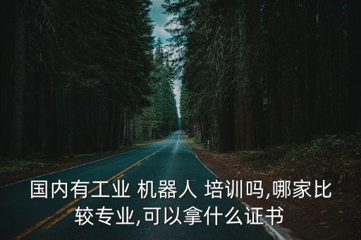 國(guó)內(nèi)有工業(yè) 機(jī)器人 培訓(xùn)嗎,哪家比較專業(yè),可以拿什么證書(shū)