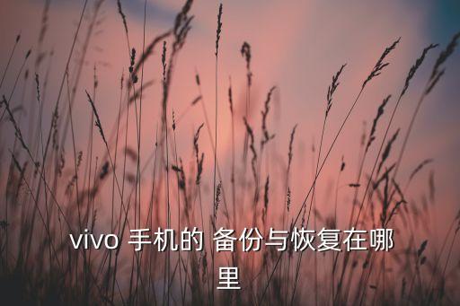 vivo手機(jī)怎樣備份數(shù)據(jù)