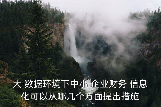大 數(shù)據(jù)環(huán)境下中小 企業(yè)財務(wù) 信息化可以從哪幾個方面提出措施