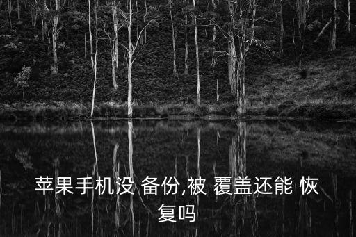 蘋果手機(jī)沒 備份,被 覆蓋還能 恢復(fù)嗎