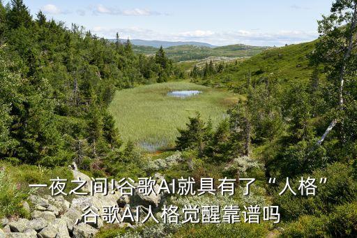 智能機(jī)器人 google