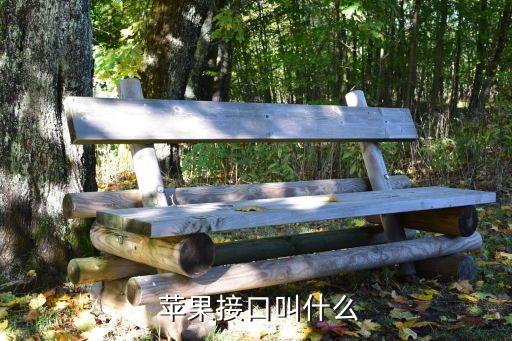 蘋果短數(shù)據(jù)線是什么,蘋果14pro數(shù)據(jù)線是什么接口