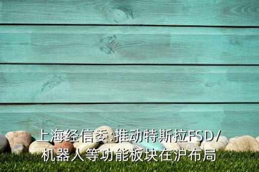  上海經(jīng)信委:推動特斯拉FSD/ 機器人等功能板塊在滬布局