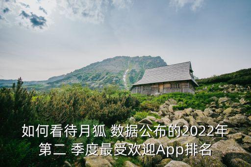 如何看待月狐 數(shù)據(jù)公布的2022年第二 季度最受歡迎App排名